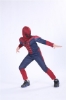Picture of Boys Superhero Muscle Costume - Spiderman