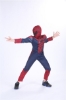 Picture of Boys Superhero Muscle Costume - Spiderman