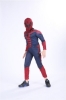 Picture of Boys Superhero Muscle Costume - Spiderman