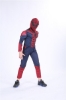 Picture of Boys Superhero Muscle Costume - Spiderman