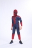 Picture of Boys Superhero Muscle Costume - Spiderman