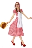 Picture of Womens Little Red Riding Hood Red and White Checked Dress
