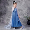 Picture of Frozen 2 Blue Elsa Dress Costume BOOK WEEK