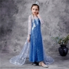 Picture of Frozen 2 Blue Elsa Dress Costume BOOK WEEK