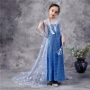 Picture of Frozen 2 Blue Elsa Dress Costume BOOK WEEK