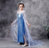 Picture of Frozen 2 Blue Elsa Dress Costume BOOK WEEK