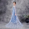 Picture of Frozen 2 Blue Elsa Dress Costume BOOK WEEK
