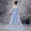 Picture of Frozen 2 Blue Elsa Dress Costume BOOK WEEK