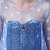 Picture of Frozen 2 Blue Elsa Dress Costume BOOK WEEK