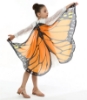 Picture of Kids Girls Butterfly Cape Wings - Blue Green Moth