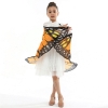 Picture of Kids Girls Butterfly Cape Wings - Blue Green Moth