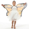 Picture of Kids Girls Butterfly Cape Wings - Blue Green Moth