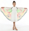 Picture of Kids Girls Butterfly Cape Wings - Gradient Moth