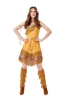 Picture of Sexy Wild West Indian Womens Costume 