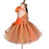 Picture of Girls Animal Zebra Tutu Dress 