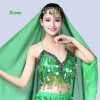 Picture of Belly Dance Sequin Top Bra