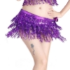 Picture of Belly Dancing Sequins Tassel Top & Hip Scarf 