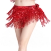 Picture of Belly Dancing Sequins Tassel Top & Hip Scarf 