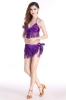 Picture of Belly Dancing Sequins Tassel Top & Hip Scarf 