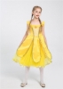 Picture of Girls Princess Belle Dress