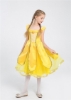 Picture of Girls Princess Belle Dress