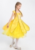 Picture of Girls Princess Belle Dress