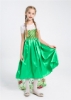 Picture of Princess Queen Elsa Frozen Fever Green Dress with Long Cape