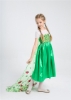 Picture of Princess Queen Elsa Frozen Fever Green Dress with Long Cape