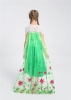 Picture of Princess Queen Elsa Frozen Fever Green Dress with Long Cape