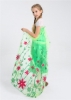 Picture of Princess Queen Elsa Frozen Fever Green Dress with Long Cape