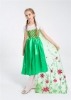 Picture of Princess Queen Elsa Frozen Fever Green Dress with Long Cape