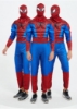 Picture of Men Superhero Muscle Costume - Spiderman
