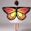 Picture of Kids Girls Butterfly Cape Wings - Glow Rainbow