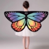 Picture of Kids Girls Butterfly Cape Wings - Glow Rainbow