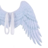 Picture of Kids White Angel Wing