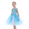 Picture of Girls Frozen Elsa Tutu Dres for Book Week