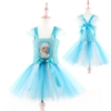 Picture of Girls Frozen Elsa Tutu Dres for Book Week