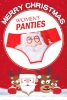 Picture of Womens Christmas Panties