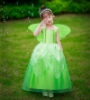 Picture of Girls Tinkerbell Princess Green Dress with Butterfly Wings