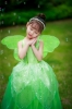 Picture of Girls Tinkerbell Princess Green Dress with Butterfly Wings