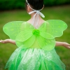 Picture of Girls Tinkerbell Princess Green Dress with Butterfly Wings