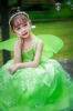 Picture of Girls Tinkerbell Princess Green Dress with Butterfly Wings