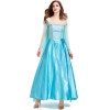 Picture of Adult Ladies Deluxe Frozen Princess Elsa Costume Dress