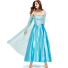 Picture of Adult Ladies Deluxe Frozen Princess Elsa Costume Dress