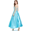 Picture of Adult Ladies Deluxe Frozen Princess Elsa Costume Dress