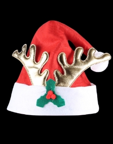 Picture for category Hats &amp; Caps