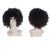 Picture of 70's Funky Disco Afro Wig - Purple