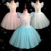 Picture of Girls Ballet Dancing Tutu Dress - Blue