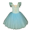 Picture of Girls Ballet Dancing Tutu Dress - Blue