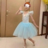 Picture of Girls Ballet Dancing Tutu Dress - Pink